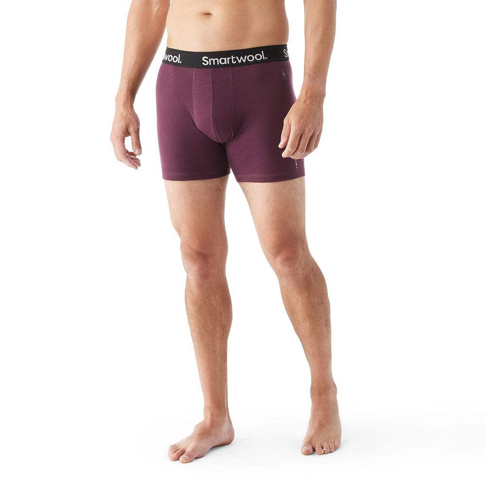  Smartwool SW016532A52S Men's Everyday Exploration Merino Boxer  Brief Boxed Black Heather S : Clothing, Shoes & Jewelry