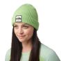 Smartwool Patch Beanie in Arcadian Green