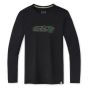 T-shirt imprimé à manches longues Merino Sport 150 Mountain Terrain pour hommes